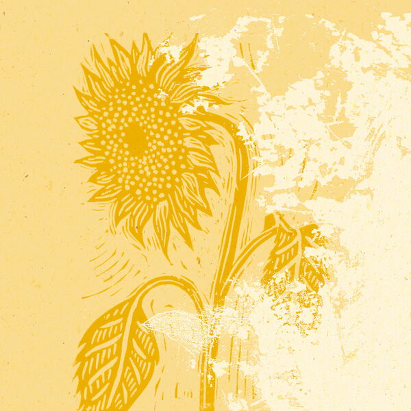 The Sunflower // On a February Night