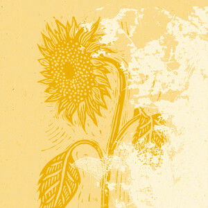The New Solarism – The Sunflower // On A February Night